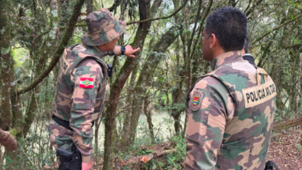 Operação em SC e outros 16 estados identifica 17 mil hectares de desmatamento ilegal