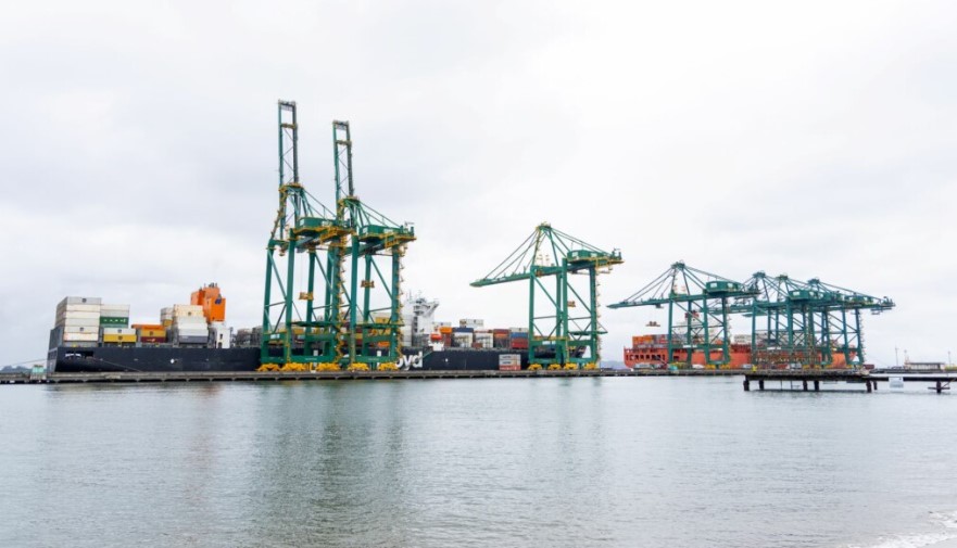 Movimentação de cargas nos portos de Santa Catarina cresce 5,96% no primeiro semestre de 2024