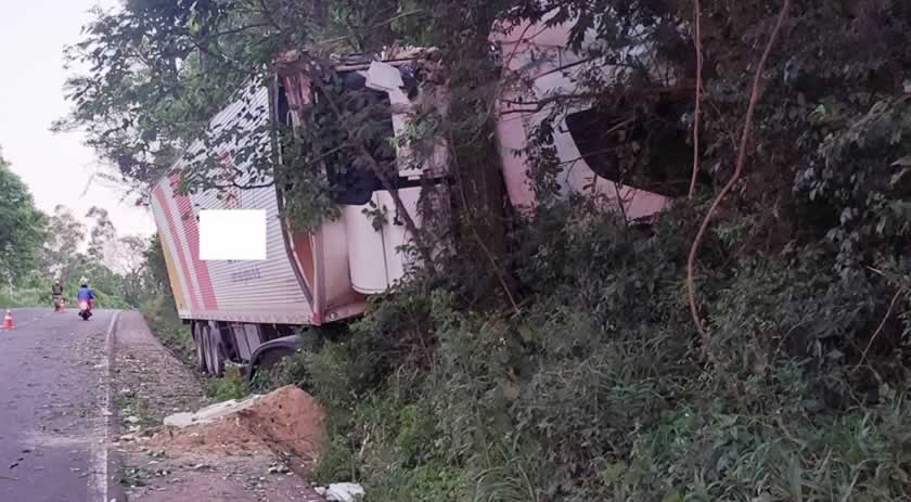 Caminhão sai de pista e se choca contra árvores na SC-163