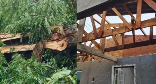 Forte chuva causa destelhamentos, queda de árvores e falta de luz no Oeste de SC