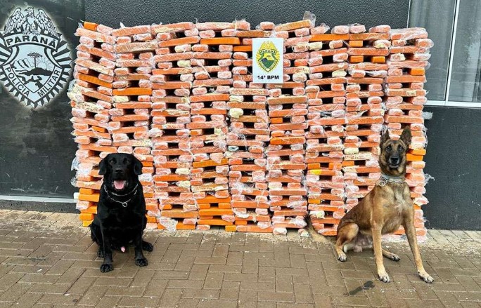Equipes caninas da PMPR batem recordes em apreensões e enfraquecem facções criminosas