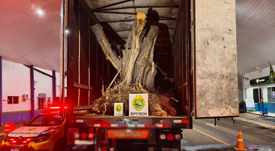 Carreta com árvores de oliveira avaliadas em R$ 1,1 milhão é apreendida na fronteira entre Brasil e Argentina