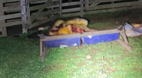 Abigeato é flagrado em propriedade rural e veículo é apreendido