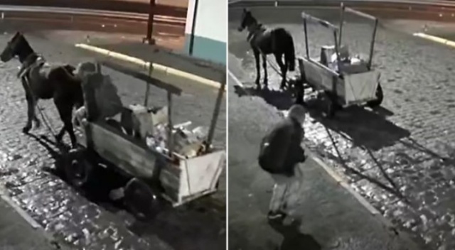 Carroceiro do crime: ladrão faz limpa em garagem com carroça e cavalo em Lages