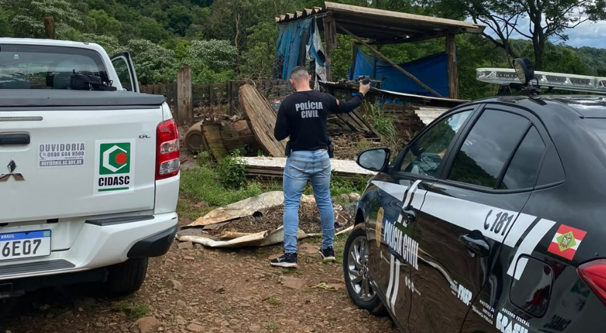 Fiscalização identifica suspeitas de maus-tratos a animais e crimes ambientais em propriedade rural