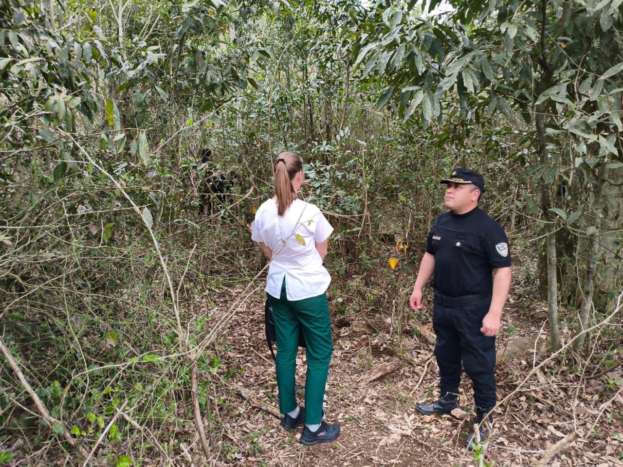 Restos humanos carbonizados são encontrados em área rural