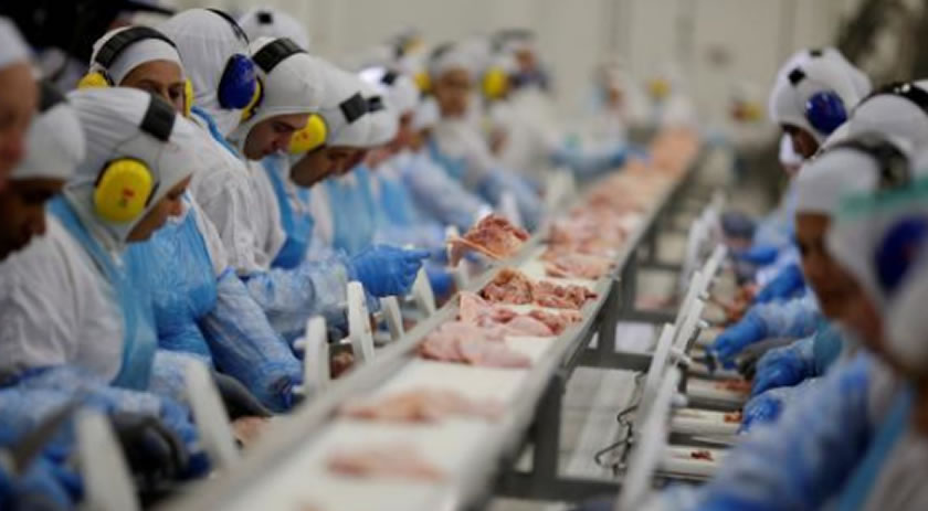 Enquanto exportações de carne bovina crescem 33%, China reduz pela metade compras de proteína suína