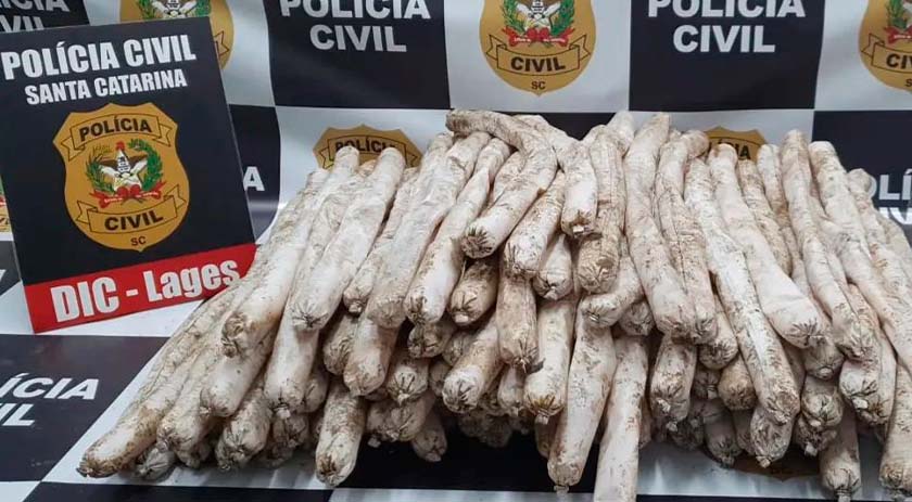 Polícia prende homem com 100 kg de explosivos que seriam usados para atacar presídio
