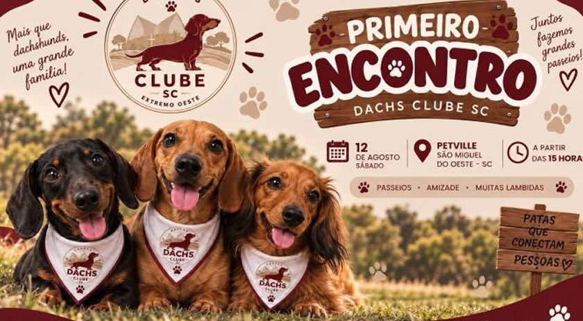 Primeiro encontro de Dachshunds reúne tutores e cães