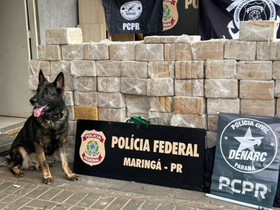 Polícia Federal em ação conjunta, apreende mais de 400 kg de cocaína
