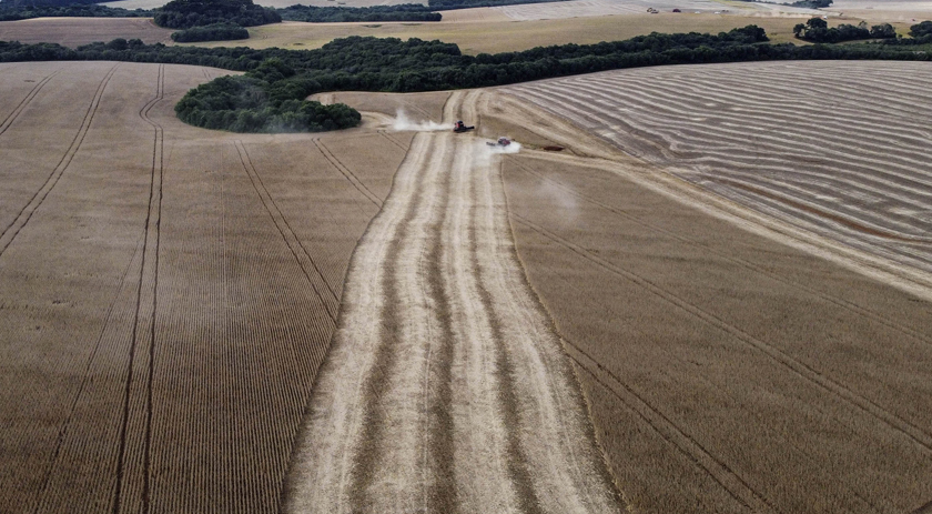 Com nove a mais, Paraná chega a 34 cidades com VBP Agropecuária acima de R$ 1 bilhão