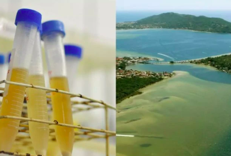 Água da Lagoa da Conceição, em Florianópolis, tem um dos maiores níveis de cocaína já registrados no mundo