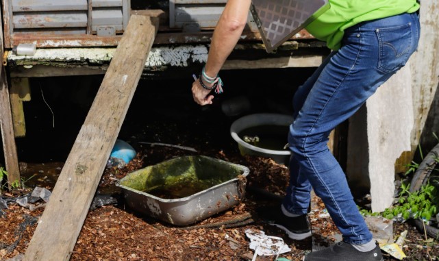 Secretaria da Saúde confirma mais três óbitos por dengue no Paraná
