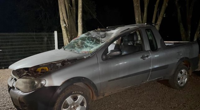Condutor fica ferido após tentar desviar de cachorro e capotar camionete na BR-280