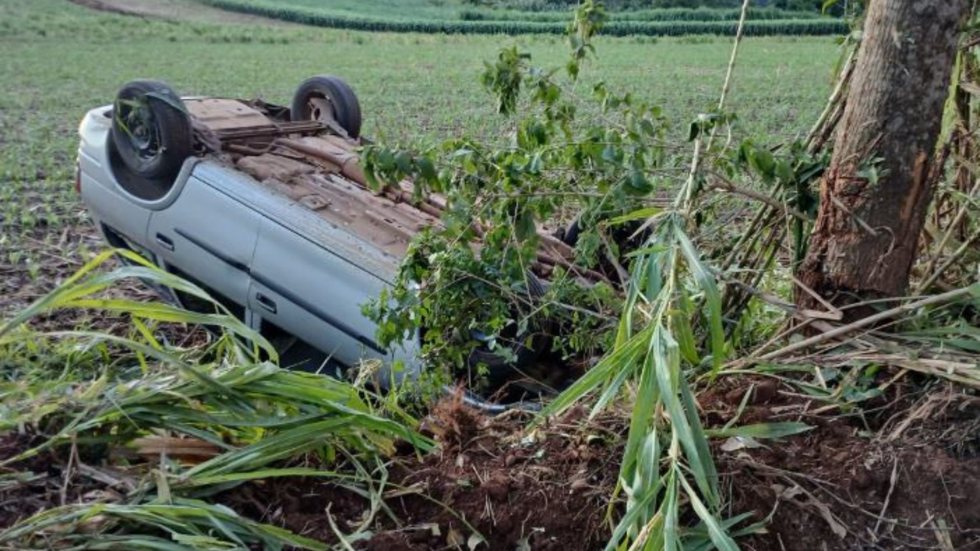 Carro colide em árvore e capota no interior