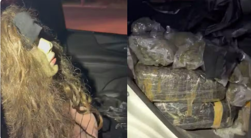 Motorista usa manequim com peruca para despistar fiscalização, mas PRF apreende 255 kg de drogas no Paraná