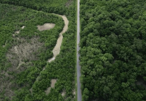 Desmatamento fez Brasil perder, em 40 anos, área natural maior que extensão da Bolívia, revela MapBiomas