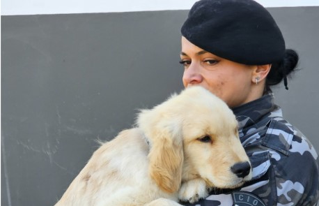 Polícia Militar inicia terapia com cães para crianças com Transtorno do Espectro Autista