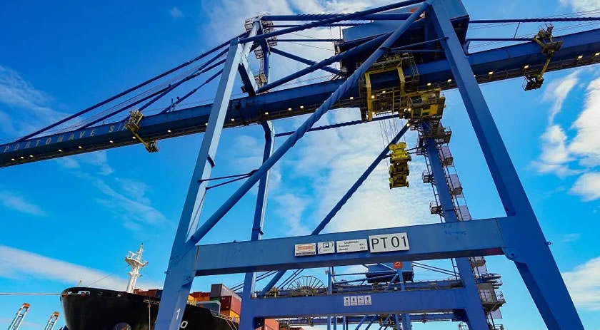 Santa Catarina é líder nacional em exportação de madeira e móveis