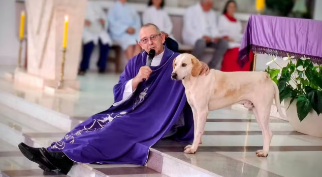 “Cãoroinha?”: cachorro vira presença nas missas e encanta fiéis no Paraná