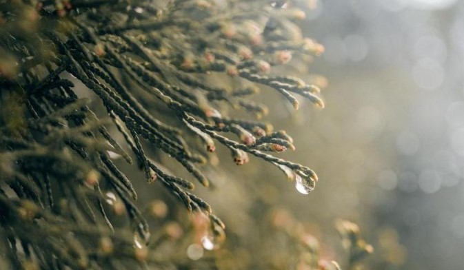 Temperatura cai com chegada da chuva e frio se intensifica em SC