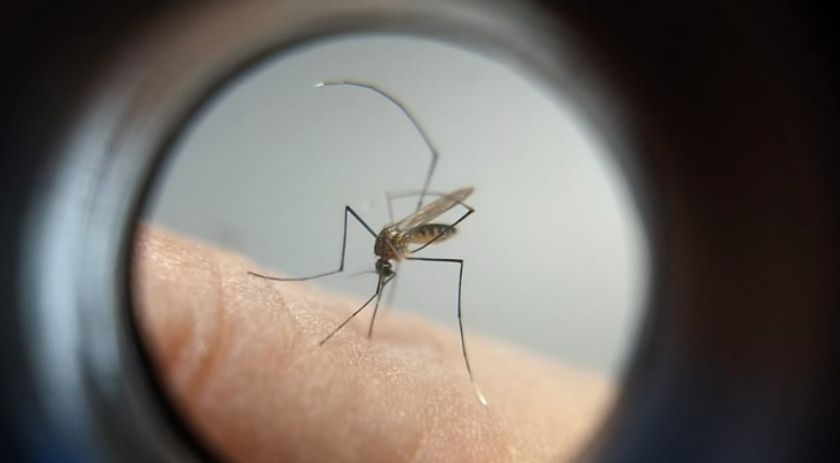 SC passa dos 300 mil casos prováveis de dengue e registra 224 mortes pela doença