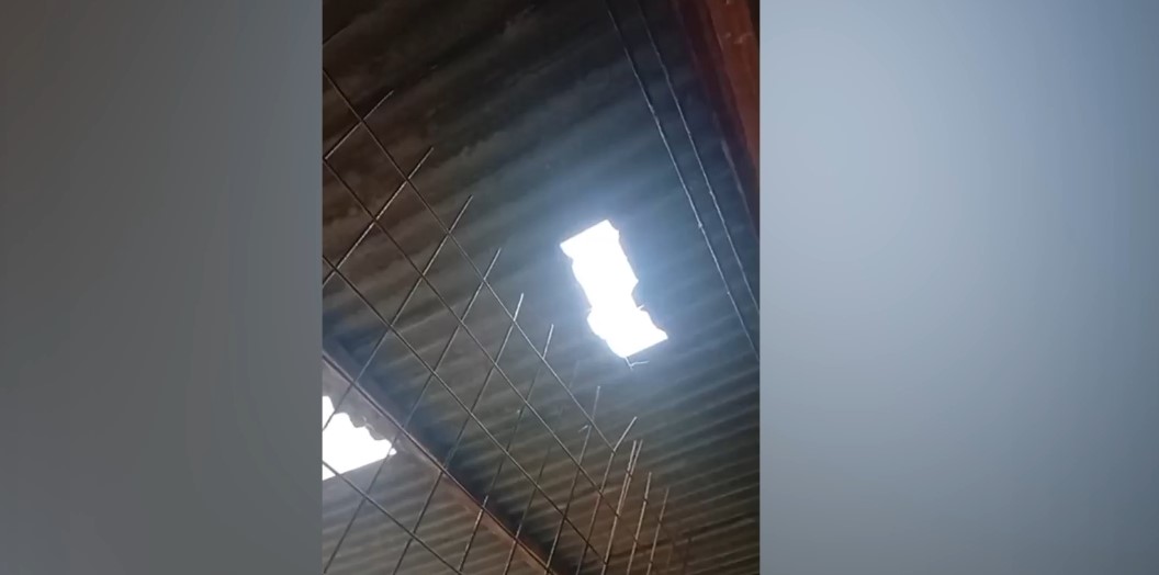 Canil Cris Muniz, da Associação Anjos Sem Asas, precisa de 14 folhas de eternit após danos causados pela chuva e pelo vento