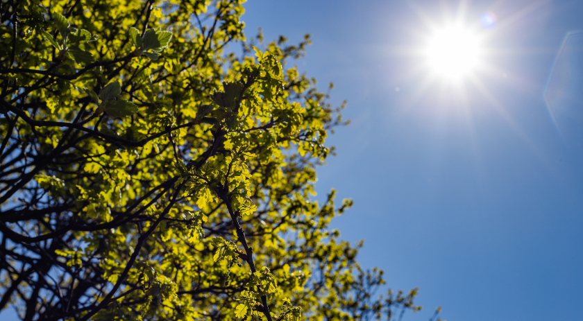 Segunda começa ainda com alerta de perigo para tempestades, mas sol volta a aparecer