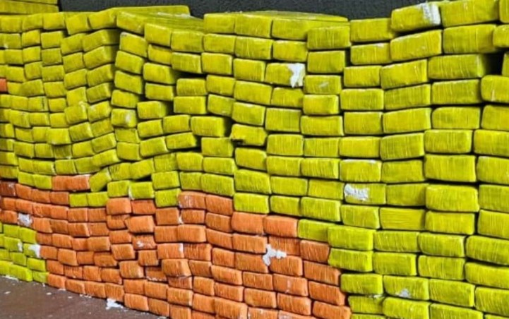 Força Integrada apreende quase meia tonelada de maconha em comunidade