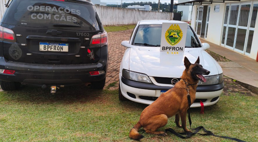 BPFRON prende jovem e apreende cocaína durante operação