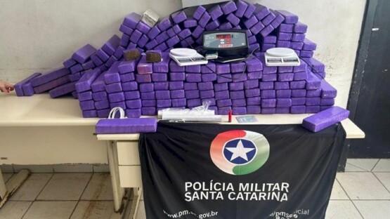 Mais de 170 kg de maconha e entorpecentes são apreendidos em Santa Catarina