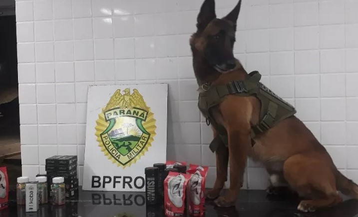 Apreensão de cigarros eletrônicos e produtos à base de maconha são presos pela BPFron em ônibus na BR-277