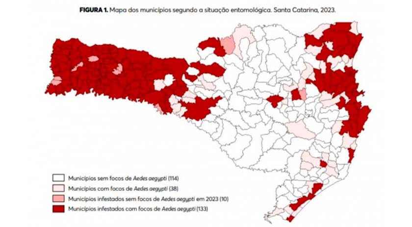 SC tem 143 cidades infestadas pelo mosquito da dengue, número é 21% maior do que em 2022