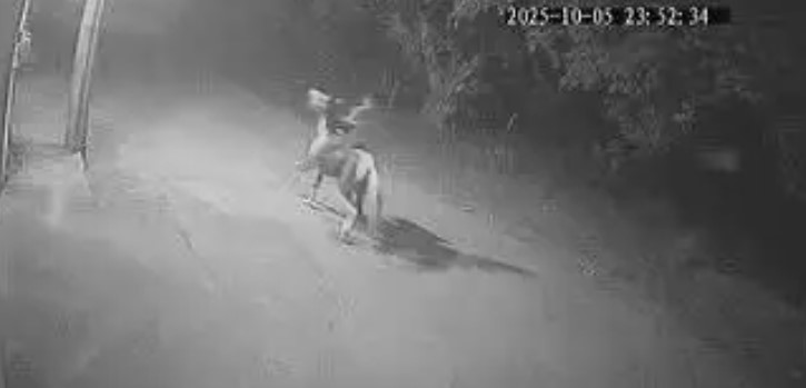 Caminhoneiro morto no Rio foi perseguido por homens a cavalo antes do crime