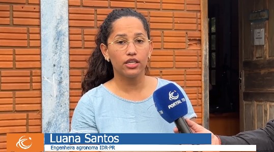 IDR Paraná promove eventos técnicos sobre cultivo de morango e bioinsumos