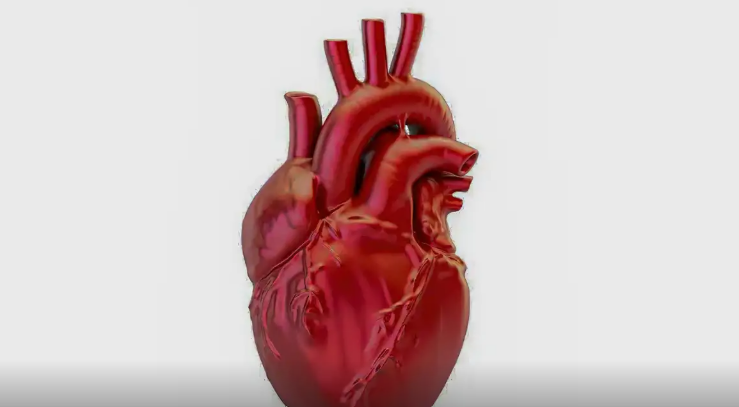 Brasil registra uma morte por doença cardiovascular a cada 72 segundos