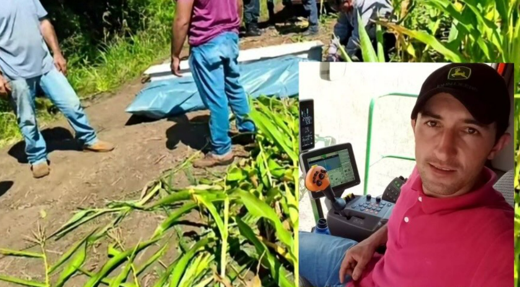 Agricultor morre após ataque de javali em propriedade rural no MS