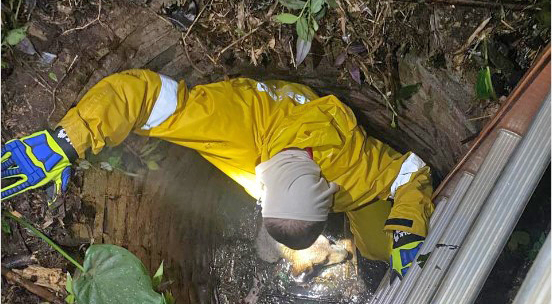 Bombeiros resgatam cachorro que caiu em poço de quatro metros