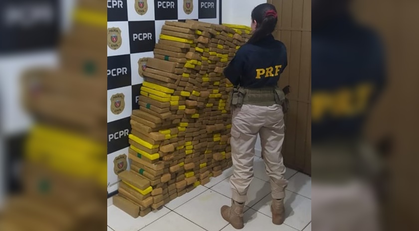 PRF apreende 415 quilos de maconha após traficante bater carro em árvore