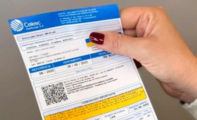 Seis pessoas são indiciadas por fraude em sistema de doações em faturas da Celesc em SC