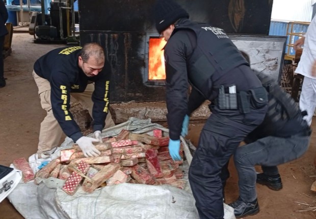 Polícia Civil incinera 785 kg de drogas