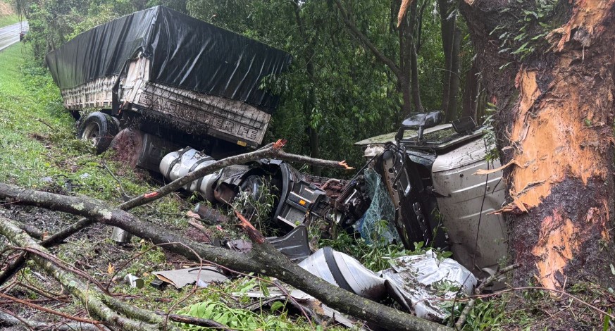 Caminhão sai da pista, colide com árvore e tomba na BR-163