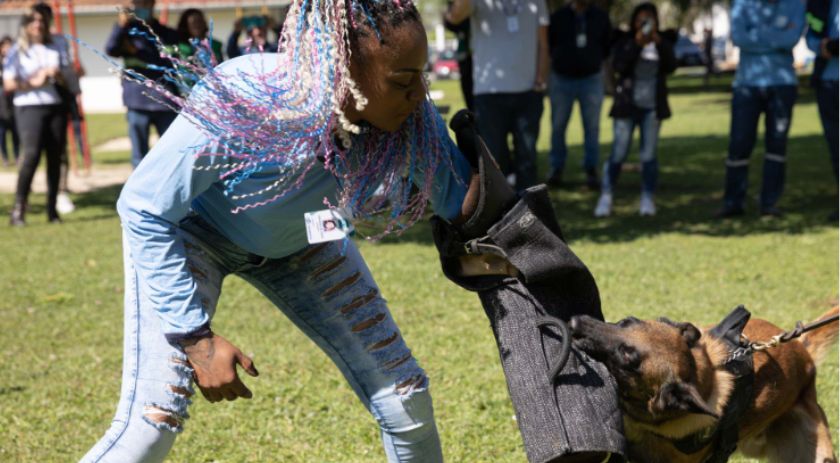 Ataque de cães é principal causa de acidente de trabalho dos leituristas da Sanepar