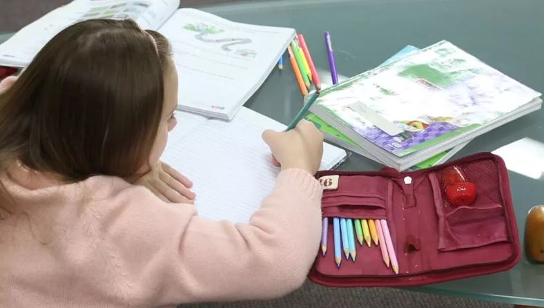 Confira a lista de produtos “proibidos” na lista do material escolar, segundo a Defensoria de SC