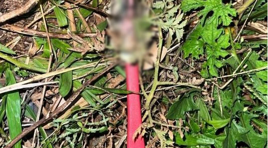 Homem é esfaqueado no peito após discussão