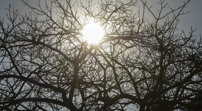 Massa de ar seco mantém o tempo firme e eleva as temperaturas ao longo da semana