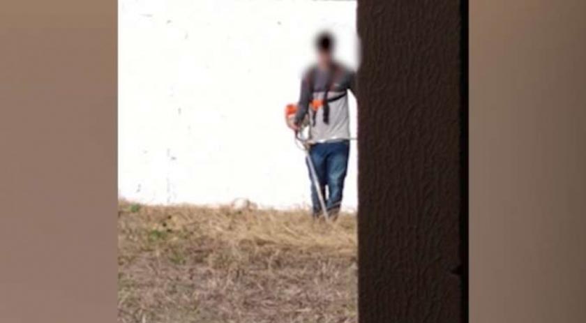 Alunos são colocados para roçar lote de colégio do PR e fato repercute nas redes