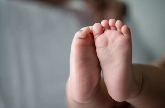 Mais de 10 bebês recém-nascidos recebem antídoto para cobra por engano em hospital de SC