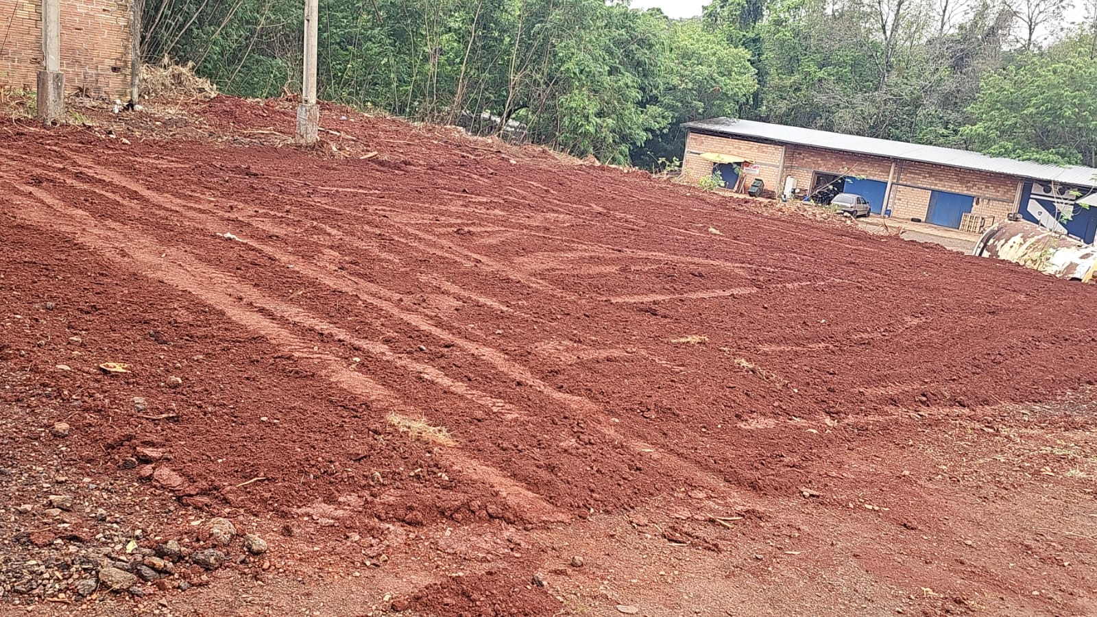 Município prepara horta municipal em parceria com escolas