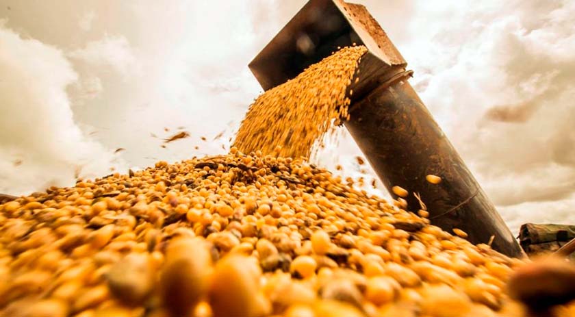 Brasil deve exportar 12 milhões de toneladas de soja em maio
